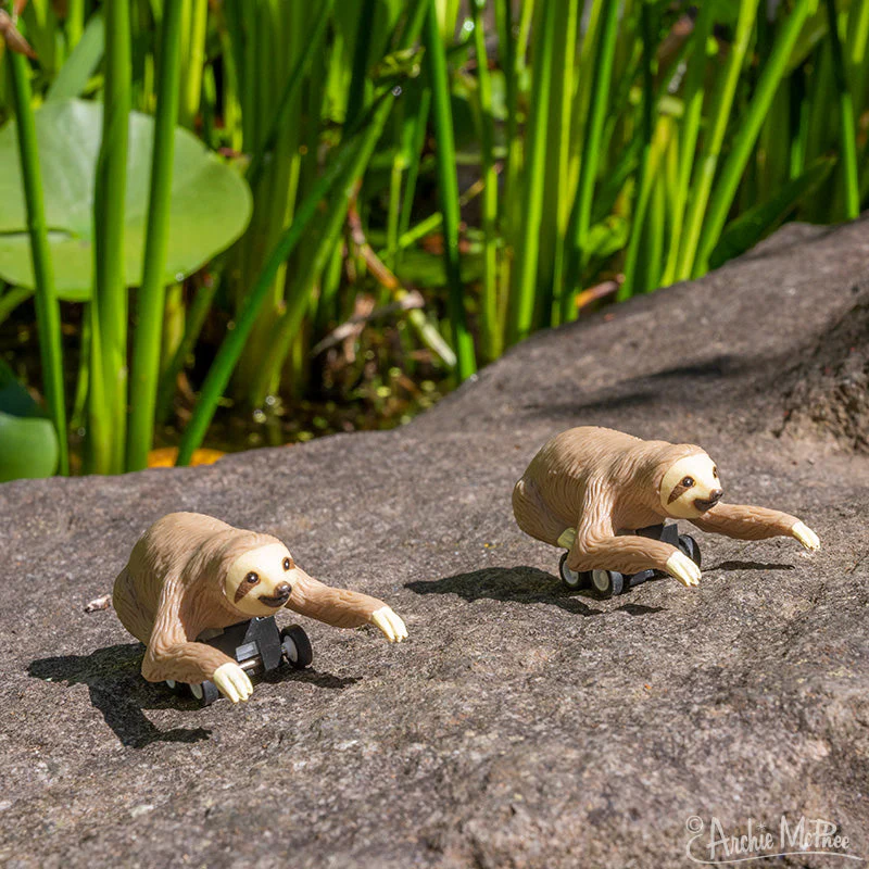 Racing Sloths Bulk Box - Image 3
