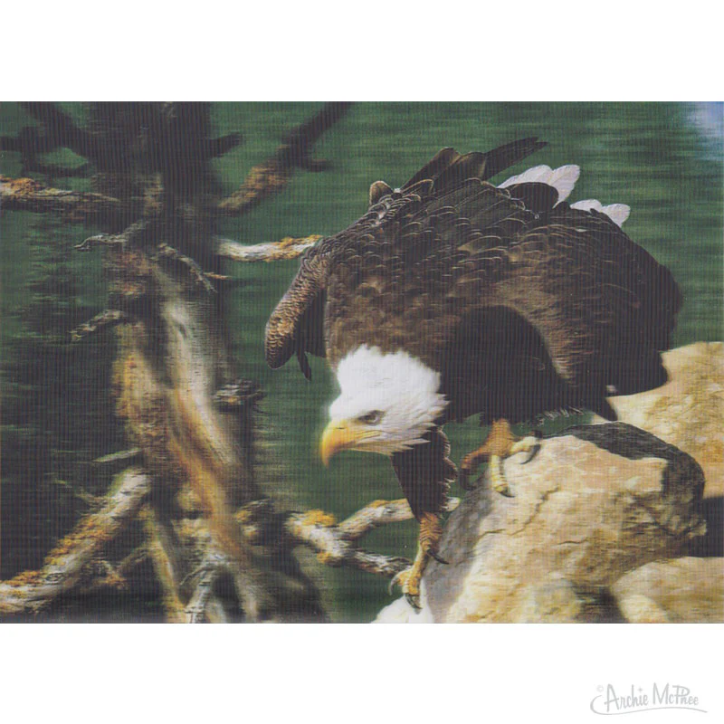Rough and Tumble Lenticular Card Set - Image 7