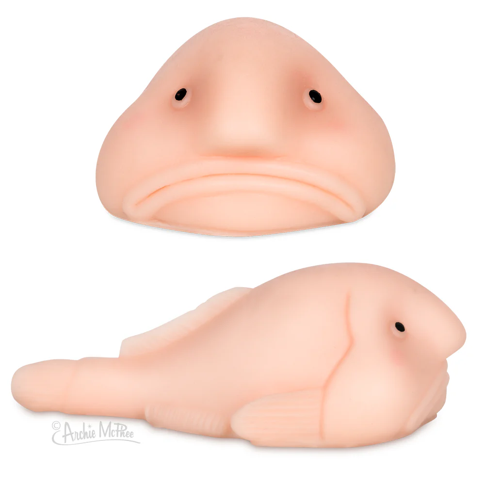 Sunny the Blobfish - Image 3
