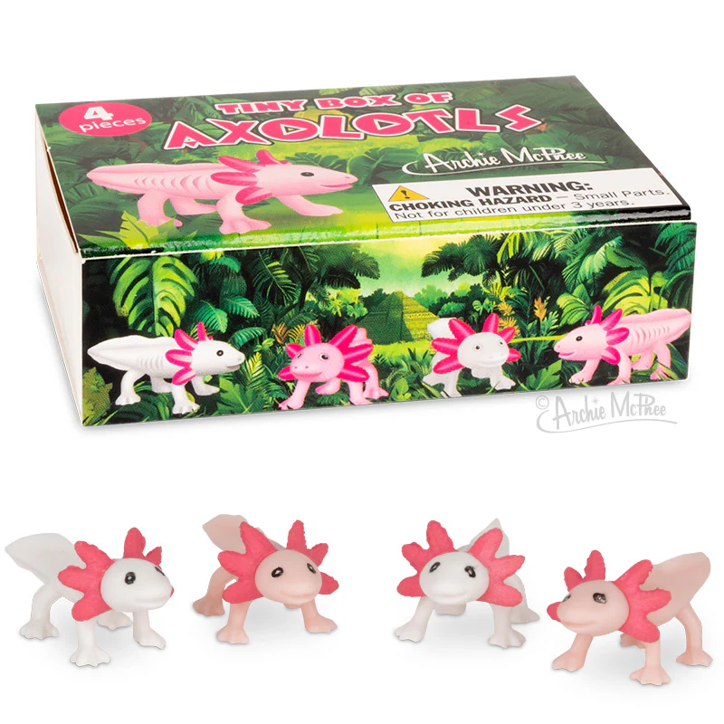 Tiny Box of Axolotls - Image 2