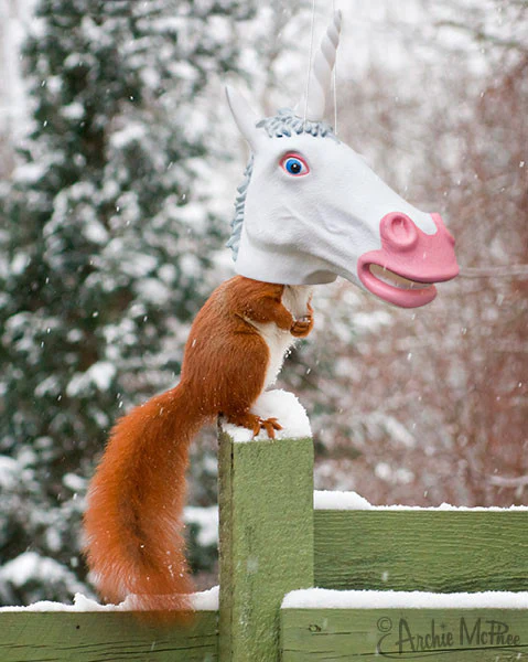 Unicorn Squirrel Feeder - Image 2