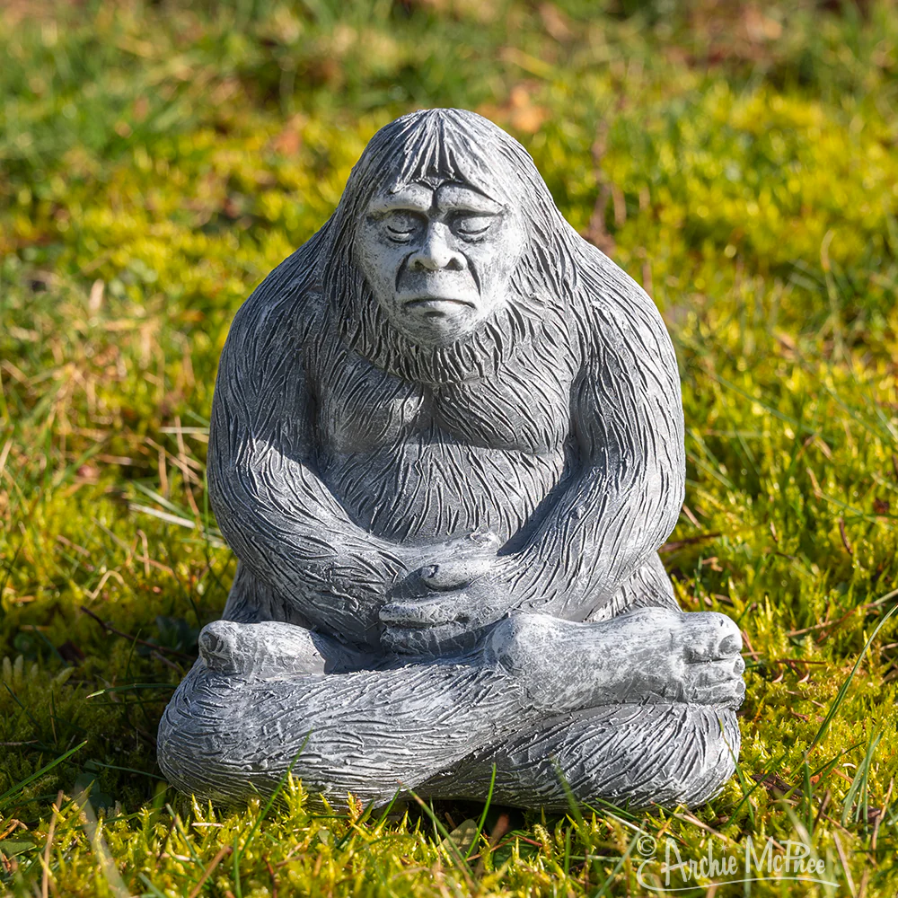 Zen Bigfoot - Image 4
