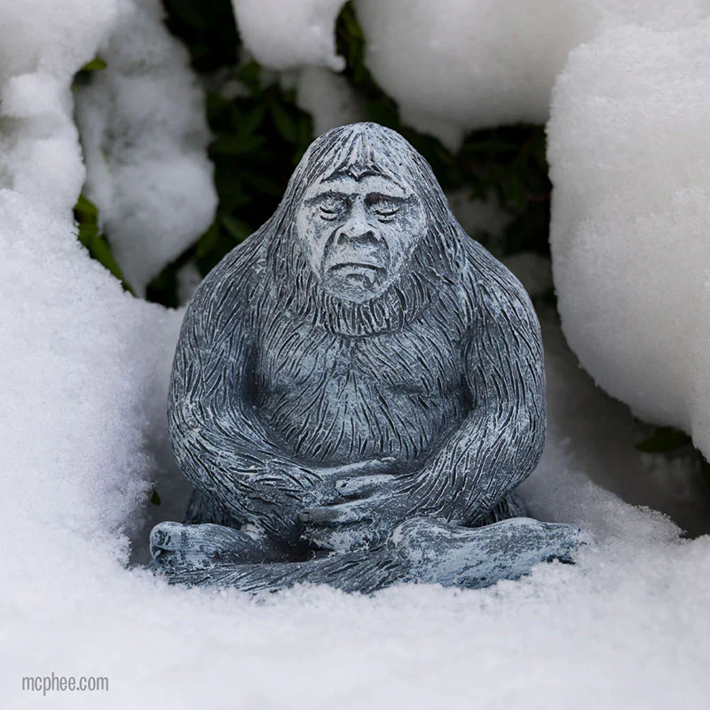 Zen Bigfoot - Image 6